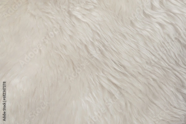Fototapeta White natural fur background texture. wool close up