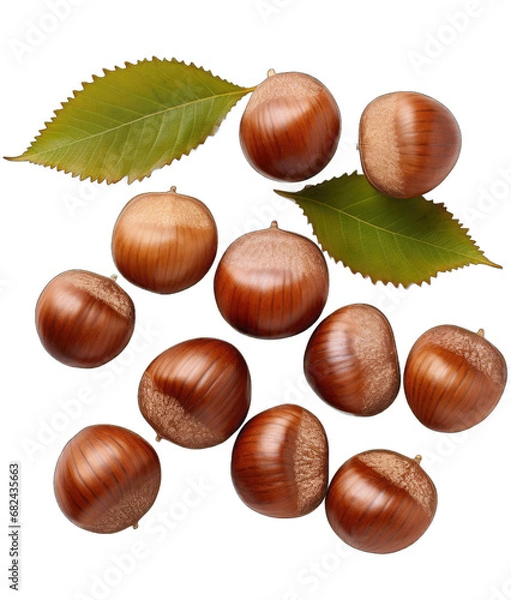 Fototapeta the Nutty Code: Beautiful Nuts on a Clear Canvas