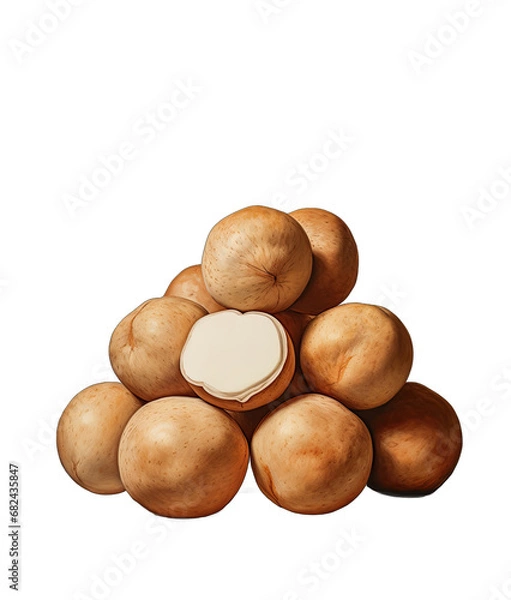 Fototapeta the Nutty Code: Beautiful Nuts on a Clear Canvas