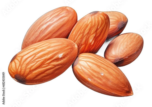 Fototapeta the Nutty Code: Beautiful Nuts on a Clear Canvas