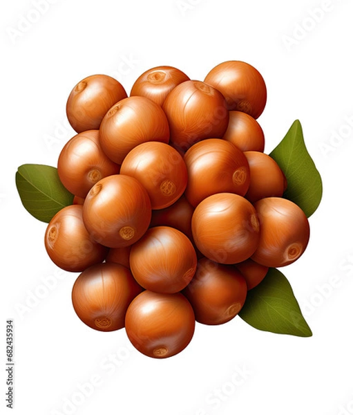 Fototapeta the Nutty Code: Beautiful Nuts on a Clear Canvas