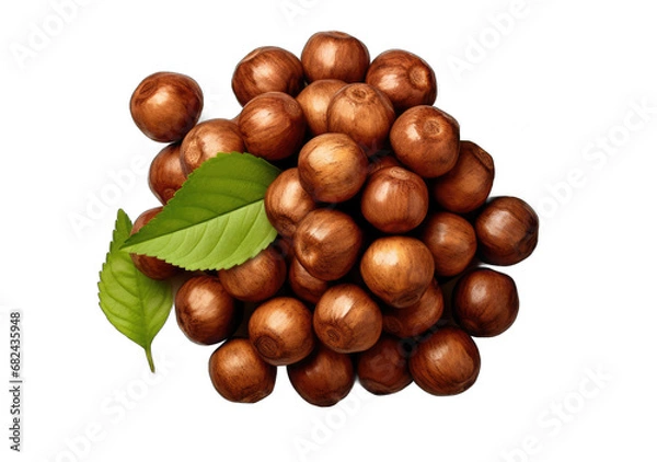 Fototapeta the Nutty Code: Beautiful Nuts on a Clear Canvas
