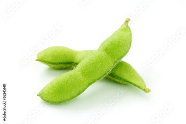 Obraz 枝豆