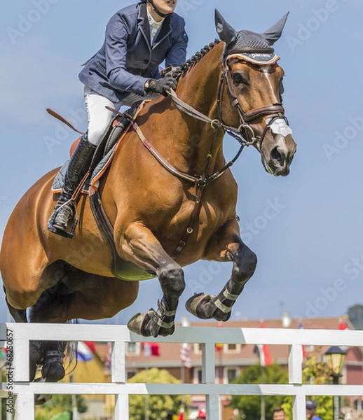Obraz jinete saltando obstáculo