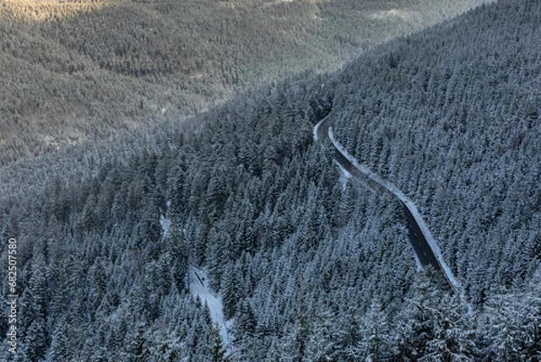Obraz Winter im Schwarzwald
