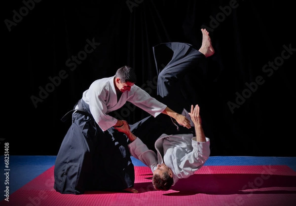 Obraz Fight between two aikido fighters