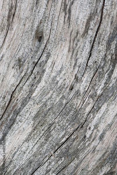 Fototapeta Old wood texture