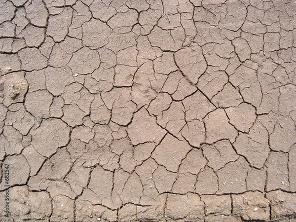 Fototapeta suche błoto