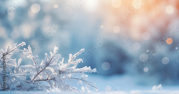 Fototapeta Beautiful winter background image of frosted spruce branches and small drifts of pure snow with bokeh Christmas lights and space for text.