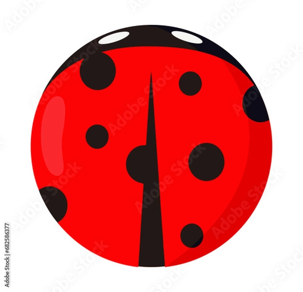 Obraz ladybug