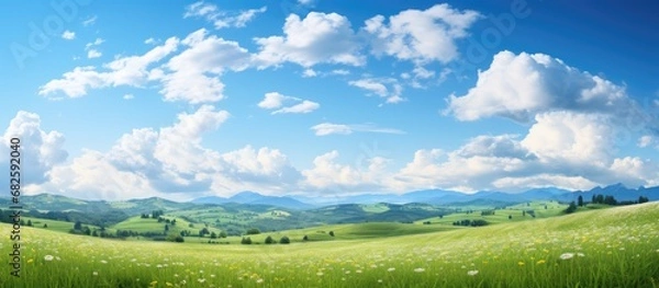 Fototapeta On a beautiful summer day, the blue sky stretched across the landscape, adorned with white clouds, creating a picturesque scene of nature's beauty. The sunlight painted the surroundings with a warm