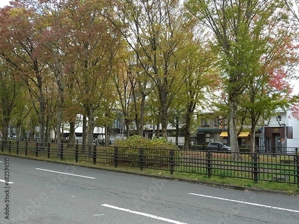 Obraz 京都の紅葉