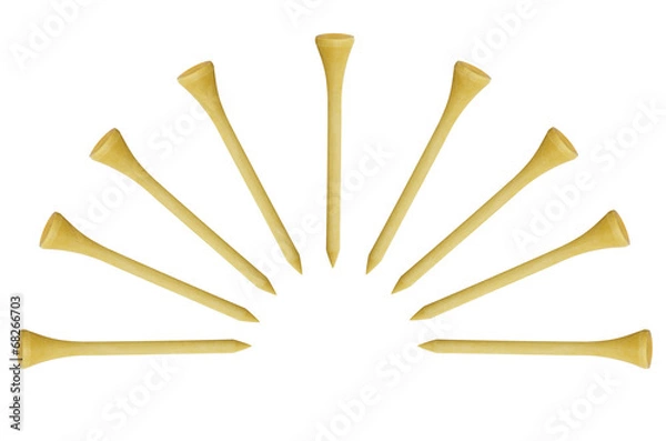 Obraz golf tees