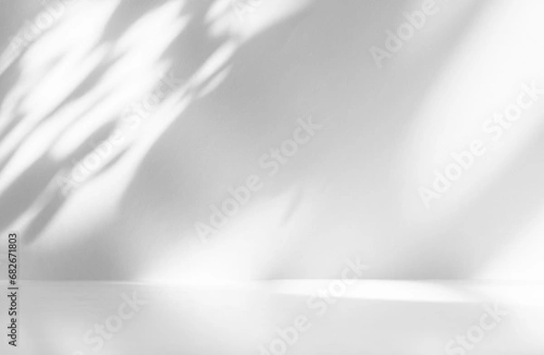Obraz Wall interior background, studio and backdrops show products.with shadow leaf from window color white and grey. background for text insertion and presentation product	