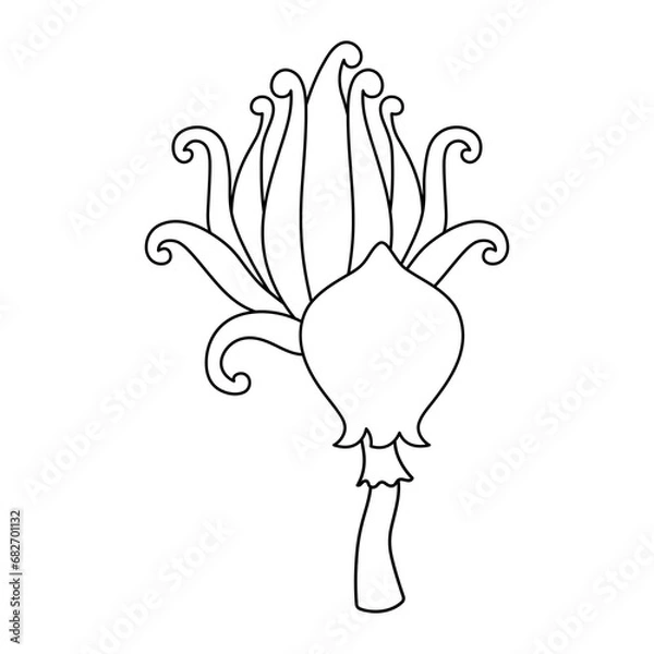 Fototapeta Wild mushrooms and plants on a white background, outline drawn vector illustration, 
Contour black line mushroom, Forest plant sketches, cartoon style