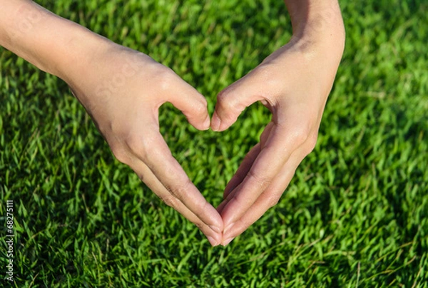 Fototapeta young girl hand make heart