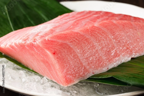 Obraz マグロ 切り身