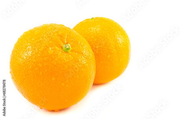 Obraz Orange