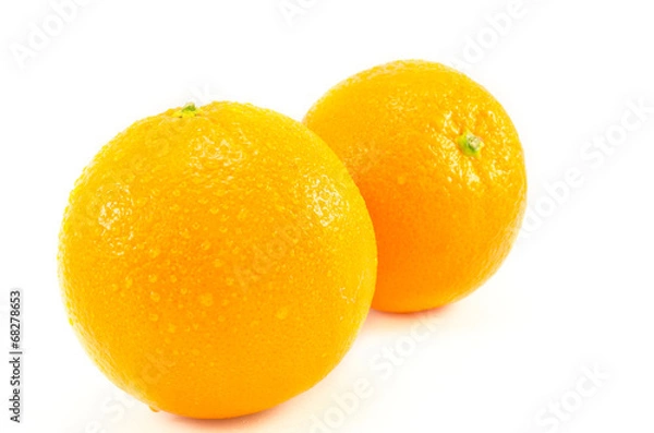 Obraz Orange