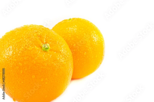 Obraz Orange