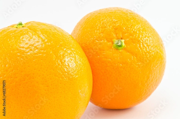 Obraz Orange