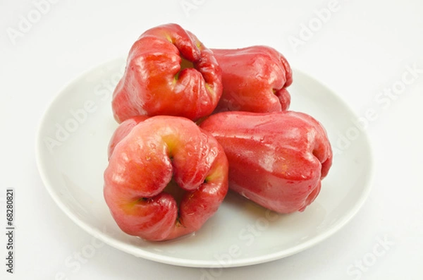 Obraz Rose apple