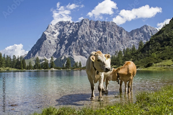 Obraz Almidylle im Wettersteingebirge