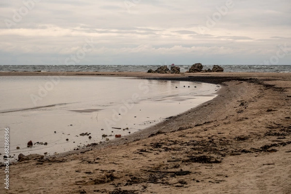 Fototapeta Coastal Elegance: Seaweeds Bedecking the Seashore, A Serene Symphony of Nature's Touch by the Sea