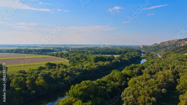 Obraz landscape with trees