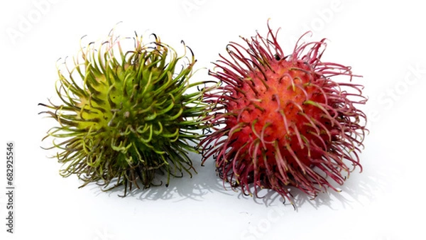 Fototapeta rambutan fruit isolated on a white background