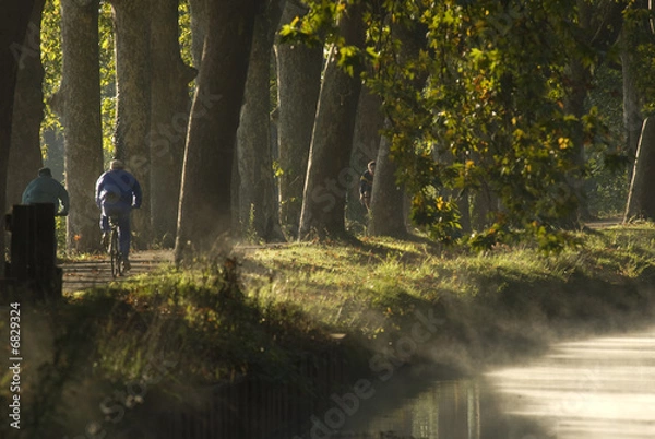 Obraz Canal du midi