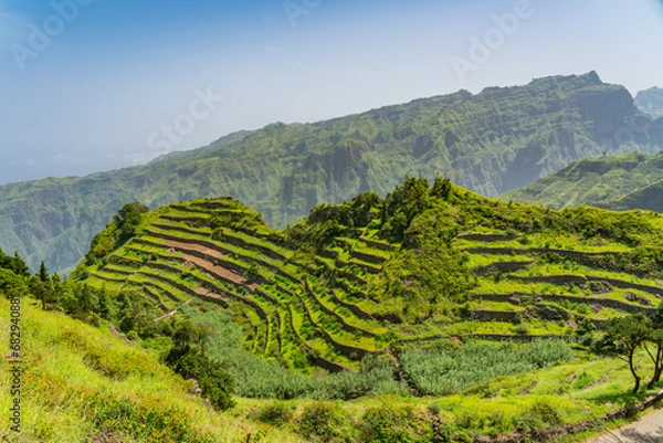 Obraz Green terrace fields on volcanic mountains surrounding with green grass on Santo Antao Island, Cape Verde