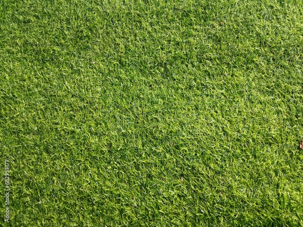 Fototapeta Top veiw, Abstract blurred artificult turf  green seamless texture for design, grass feild background, stadium floor