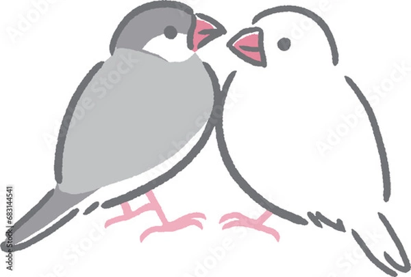 Fototapeta 向かい合う文鳥