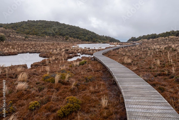 Fototapeta Boardwalk across the high alpine wetlands of the Rotokawa pools on the Waitonga Falls Track on Mount Ruapehu, Tongariro National Park, New Zealand. 