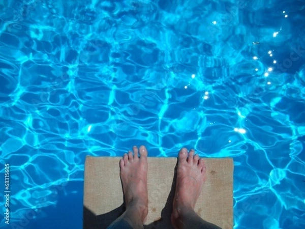 Obraz Pies en el trampolín