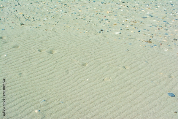 Fototapeta 中田島砂丘の風紋と犬の足跡