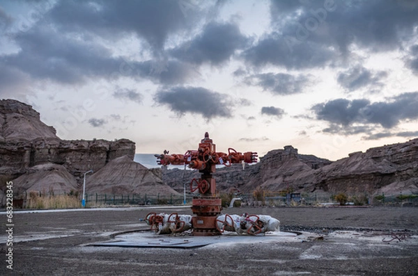 Obraz Oil trees on the desolate land of Xinjiang, China