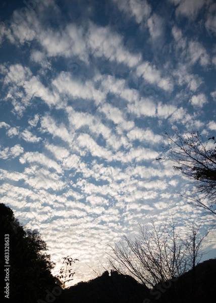 Fototapeta 日本　秋の風景　関西　大阪