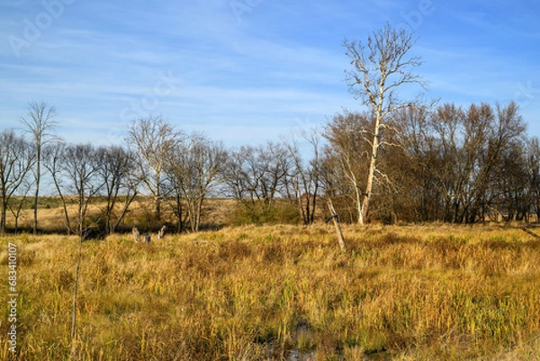 Fototapeta Wetlands along a stream and meadow having undergone streambank restoration and stabilization on a late sunny autumn day.