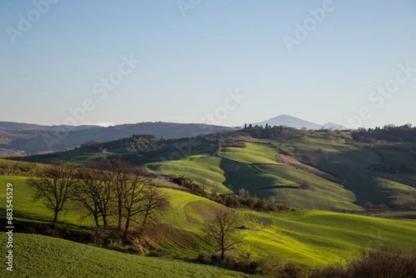 Fototapeta Beautiful Tuscany landscape in spring time with wave green hills and isolated trees. Tuscany, Italy, Europe
