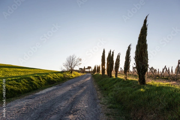 Fototapeta Country road at sunset in Tuscany, with cypresses