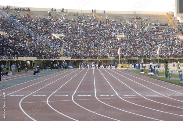 Obraz before the race