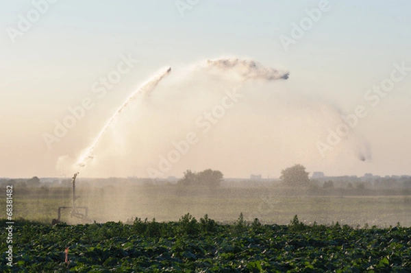Fototapeta watering machine on agricultural field in summer