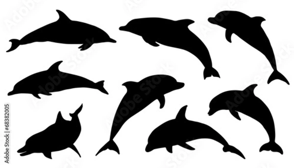 Fototapeta dolphin silhouettes