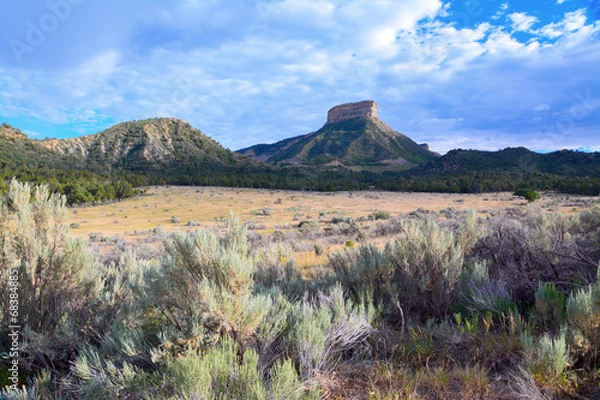 Obraz Mesa Verde - Colorado