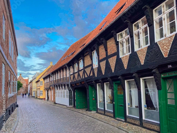 Obraz Danish Town Ribe