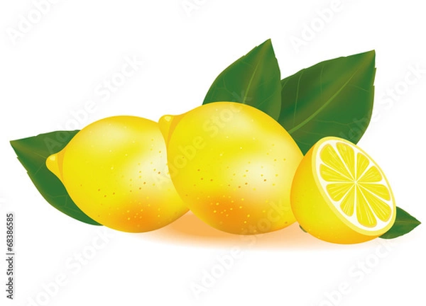 Obraz Citron