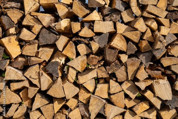 Obraz Stack of Wood