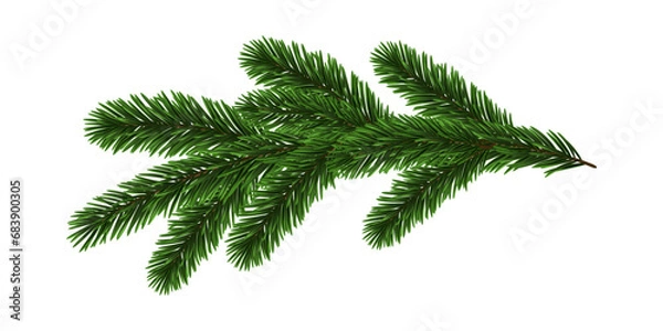 Obraz Green Christmas Fir Branch